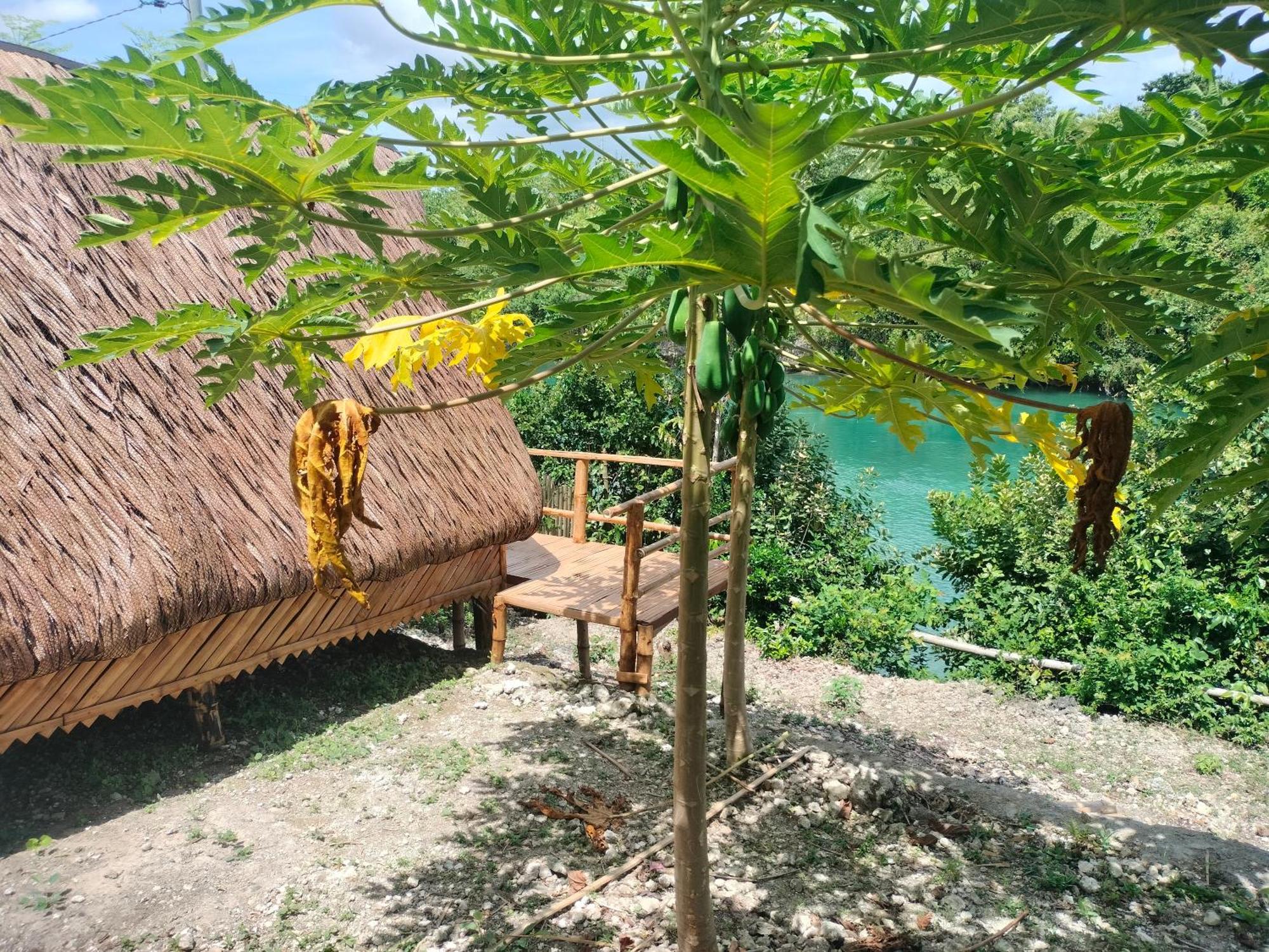 Riu Del Mar Hostel Dauis ภายนอก รูปภาพ